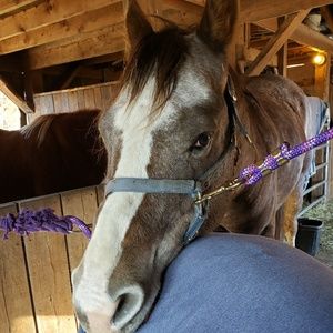 Meet your Posher, Shelly